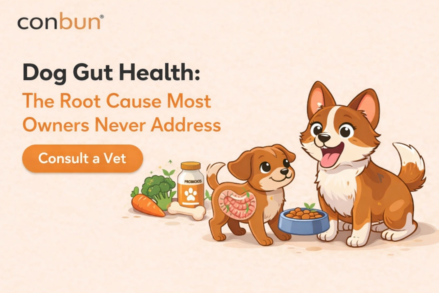 Dog Gut Health: How to Recognise Problems, Fix the Root Cause, and Keep Your Dog's Digestive System Thriving